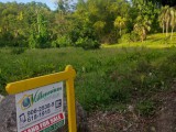FarmAgriculture Land in Fellowship, Portland, Jamaica - Commercial/farm land for Sale
